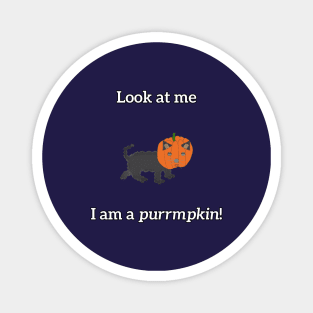 Look at me. I am a purrmpkin! Magnet